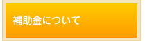 補助金について